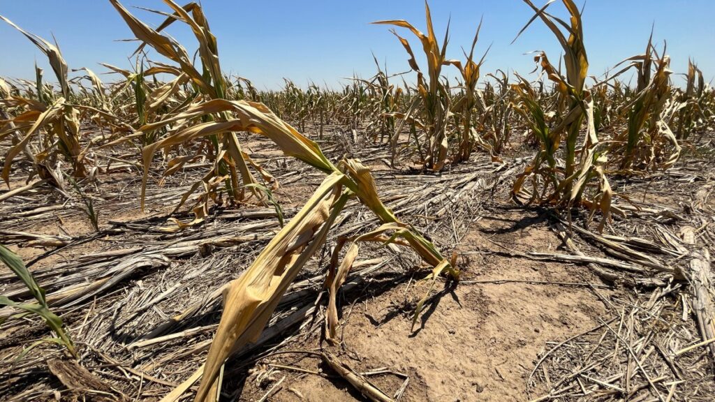 Missouri Governor Extends Drought Alert Until May 2024 The Lake Tribune